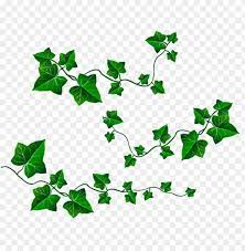 419 x 280 size : Download Vine Leaves Decorationpicture Clipart Png Photo Toppng
