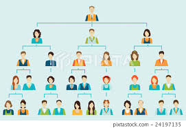 Organizational Chart Corporate Business Hierarchy Stock