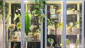 The diy bamboo greenhouse greenhouse design. Episode 166 Ikea Greenhouse Cabinets Jane Perrone