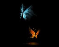 Black butterfly wallpapers wallpaper cave. Butterfly Effect Wallpapers Black Background Hd Love 1280x1024 Wallpaper Teahub Io
