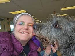 Irish wolfhound rescue options available?