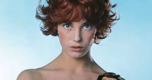 Histoire de Melody Nelson (Gainsbourg), poèmes symphoniques pop