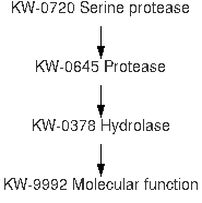 Because its sequence specificity is far more stringent than that of factor xa, thrombin, or enterokinase, tev protease is a very useful reagent for cleaving fusion proteins. Serine Protease