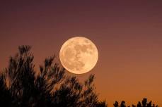 Full Moon Sound Bath — Greenville Yoga