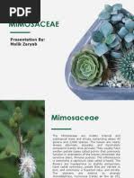 Image result for Striga linearifolia
