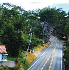 Image result for Fern Green 1952 Chrysler