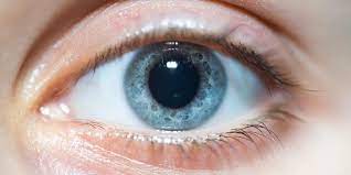 Перевод слова pupil, американское и британское произношение, транскрипция, словосочетания, однокоренные слова, примеры использования. 7 Causes Of Dilated Pupils From Low Light To Sexual Attraction