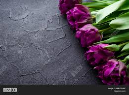 Send flowers from blacktulipflowers.com | #blacktulipflowersuae. Tulips Flowers Image Photo Free Trial Bigstock