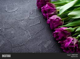 Maybe you would like to learn more about one of these? Tulips Flowers Image Photo Free Trial Bigstock