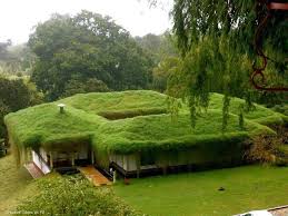 Tout Sur La Toiture Vegetalisee Toiture Vegetalisee Maison Ecolo Toit Vegetal
