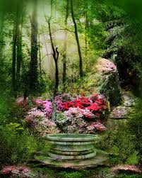 A collection of the top 55 secret garden wallpapers and backgrounds available for download for free. Premade Background 25 Secret Garden Dream Garden Beautiful Gardens