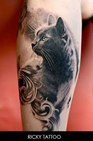 Wie kann diese dicke katze nur weniger wiegen als ich? Lustige Katzenbilder Mit Spruch Bilder Und Spruche Fur Whatsapp Und Facebook Kostenlos