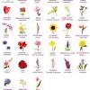 Popular flower tattoos and their meanings.see more ideas about popular flowers, flowers, types of flowers.since flower tattoos have gone extremely popular, we can say that there are some types of flowers that are the common choices for tattoo enthusiasts. 3
