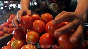 Check spelling or type a new query. Aneka Jenis Sayuran Ini Justru Lebih Bermanfaat Jika Dikonsumsi Setelah Dimasak Termasuk Tomat Pos Belitung