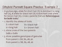 If you cannot reproduce the square using software, then you may do them by hand and scan in the image of your solution and submit all images in the one document. Mendelian Genetics Monohybrid Crosses Vs Dihybrid Crosses Dihybrid