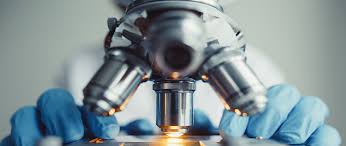 There can be more than one product that is formed in a chemical reaction. Master S In Health Sciences Usf Health