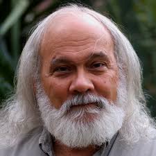 Injured pigeon help or rehabilitation center?