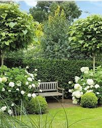 Bei Meiner Freundin Habe Ich Letztens Im Vorgarten Gestanden Und Gestaunt Wie Schon Ihre Schneeballhortensie Mit Dem Garten Buchsbaum Garten Hortensien Garten