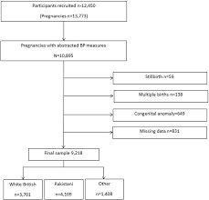 Population Reference And Healthy Standard Blood Pressure