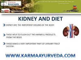 Diet Chart Kidney Patients Karma Ayurveda