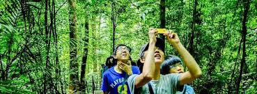 Resident evil village reveals why ethan's hands can take so much damage. Global Alternative Tourism Network Gatn Ymca