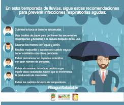 El asma y las alergias se encuentran en aumento en varios países europeos. Como Prevenir Enfermedades Respiratorias En Ninos