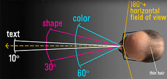 There is some relationship between print sizes and the megapixels. Only A 576 Megapixel Would Sort Of Match The Human Eye Resolution Sonyalpharumors