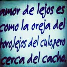 Amor De Lejos Es Como La Oreja Del Toro Frases Fuertes Amor De Lejos Oraciones Poderosas