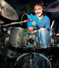 Image result for Cola pierlotii