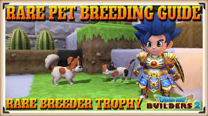 There is currently no walkthrough for the dragon quest builders 2 trophies. Dragon Quest Builders 2 Trophy Guide Tips Tricks Trophy Guide Achievement Guide Gaming With Abyss