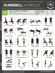 Dumbbell High Intensity Workout Laminated Poster Chart