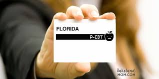 Generally, these are supermarkets or farmer's markets. 2020 2021 Florida P Ebt Program Details Eligibility
