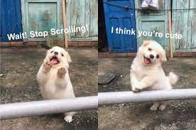 Jus Boosting Your Self Esteem Today R Wholesomememes Wholesome Memes Know Your Meme
