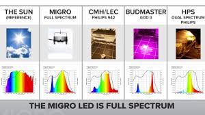 Maybe you would like to learn more about one of these? 2019 Cmh Vs Hps Vs Led Spectrum Reviews Youtube