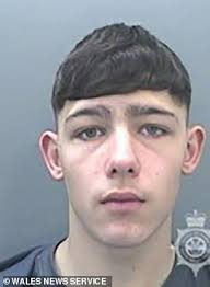 Meet the new ASBO Kids: The baby-faced members of 'Young and Deadly' gang  aged 13 to 17