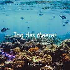 Heute Ist Der Tag Des Meeres Mehr Daruber Erfahrst Du Bei Feiertagesdosis Auf Instagram Und Facebook Instagram Photo Instagram Photo