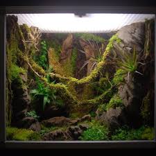 Terrarium Tropical Deluxe Ningua Reptile Terrarium Snake Terrarium Frog Terrarium