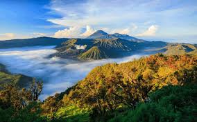 Biotik adalah makhluk hidup seperti kebun di sekolah, ibu dan bapak guru, orang tua, teman sekolah, hewan, tumbuhan dan makhluk hidup lainnya. Pengertian Lingkungan Hidup Jenis Jenis Dan Cara Melestarikannya