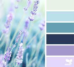 Color Field Seeds Color Lavender Color Palette Design Seeds
