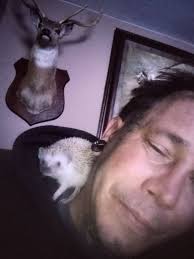 Bob and Archie loved cuddling, more so between the hoodie and my robe  rather than in the hoodie hood itself...They are such sweet babies and love  getting and giving kisses <3 |