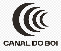 NefFling - Videos CANAL DO BOI