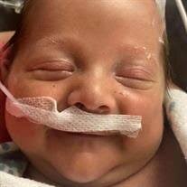 Dean William Stone Obituary