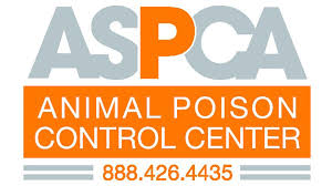Listen to the best pet poison hotline shows. Community Partners In Torrance Ca Vca Pacific Veterinary Center
