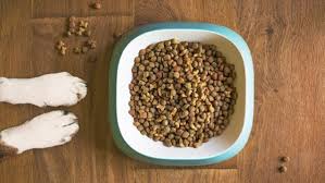 Wellness cat food reviews 2021. Pet Food Recall Sportmix Dry Food Linked To 28 Deaths 8 Illnesses In Dogs
