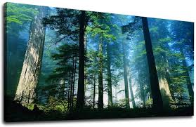 We did not find results for: Buy Wall Art Green Blue Forest Canvas Art Bedroom Wall Decor Big Trees Foggy Woods Morning Sun Shine Large Nature Picture Artwork Living Room Wall Decor For Home Office Decorations 24 X
