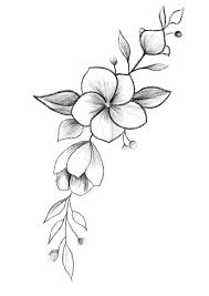 Mica Mathey Doret Adli Kullanicinin Blumen Panosundaki Pin Cizimler Sanat Cicekler Cizim