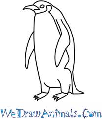 How To Draw An Emperor Penguin 425 x 329 jpeg 19 кб. how to draw an emperor penguin