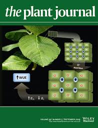 Nov 04, 2020 · <p>adding to that, you might be able to get this grow light for a bargain price since the manufacturing of the california lightworks solarstorm 440 watt led grow light has been discontinued and it has been replaced by the solar system 550. The Plant Journal Vol 99 No 5