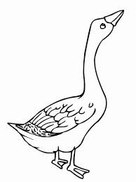 These alphabet coloring sheets will help little ones identify uppercase and lowercase versions of each letter. Geese Coloring Pages Dibujo Para Imprimir Goose Coloring Page Dibujo Para Imprimir