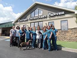 Our dedication to quality is evident in everything we do and offer here at our animal hospital. Calvert Veterinary Center Turns 15 Years Old Or 105 In Dog Years Pasadena